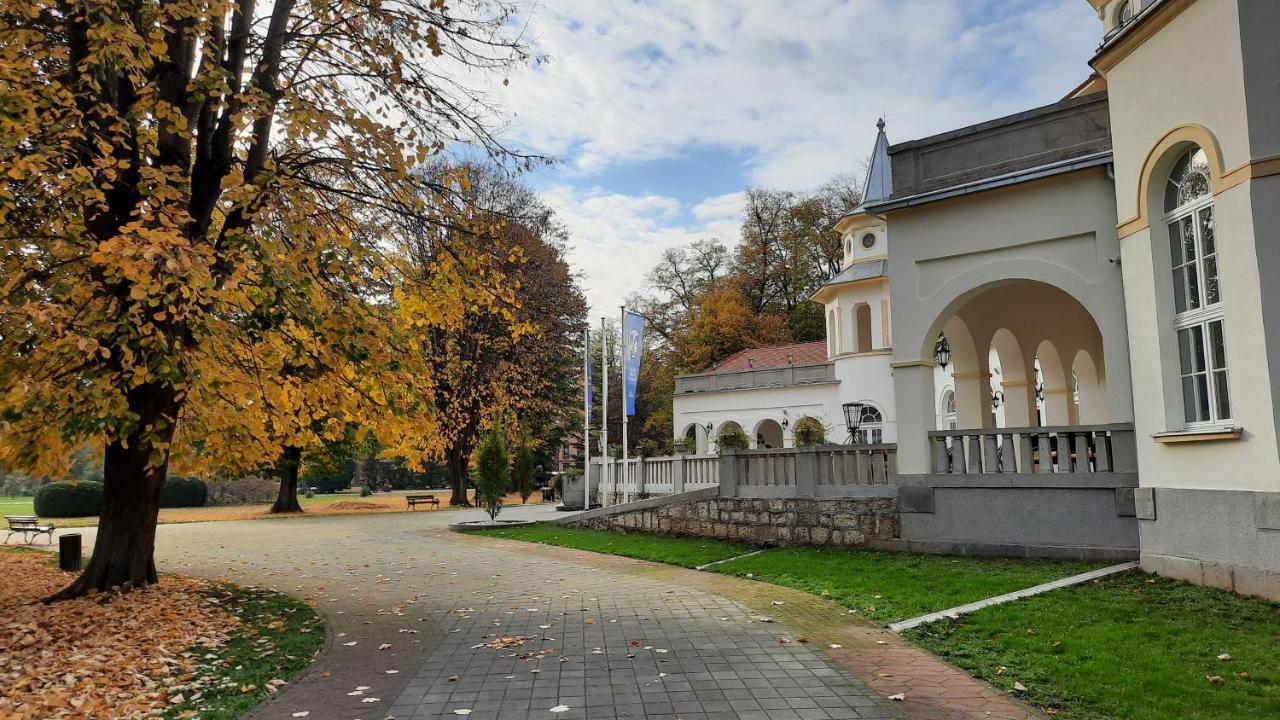Apartman Mila, Banja Koviljača Extérieur photo