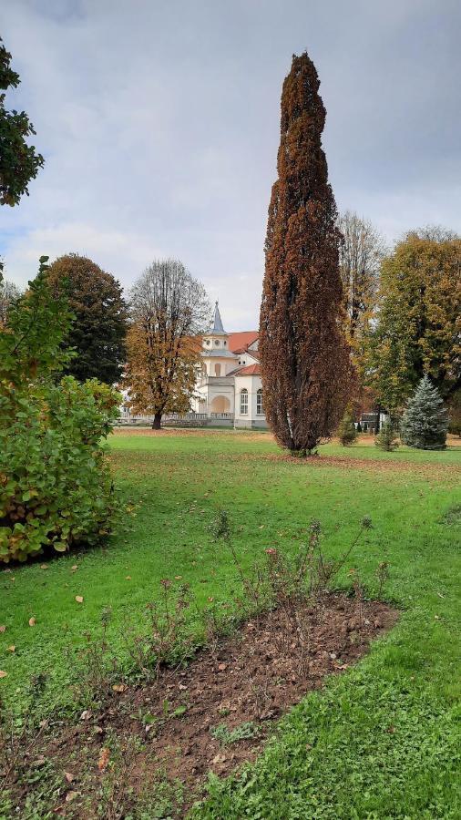 Apartman Mila, Banja Koviljača Extérieur photo